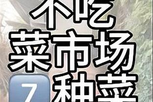 阿里纳斯：即使保罗夺冠也超不过斯托克顿 因他只是场均5分的替补